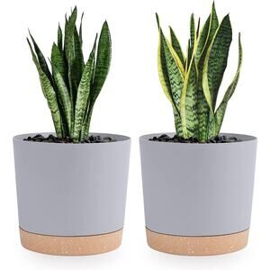 Plant Pots Set of 2 Pack 8 inch, Indoor Plants with Drainage Holes Light Gray
